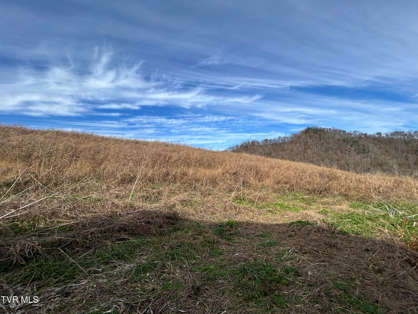 Photo #15: 2151 Horton Ford Road