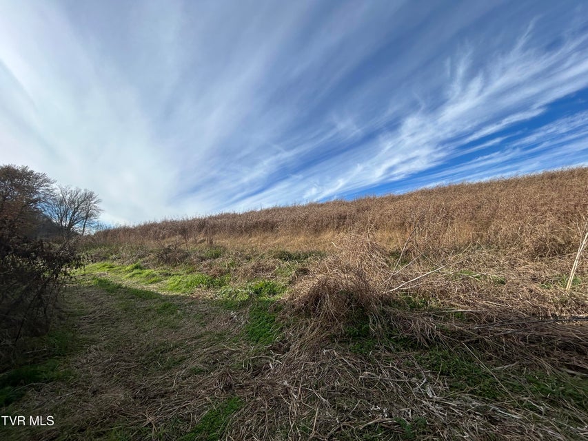 Photo #16: 2151 Horton Ford Road