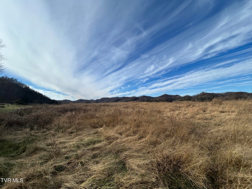 Photo #24: 2151 Horton Ford Road