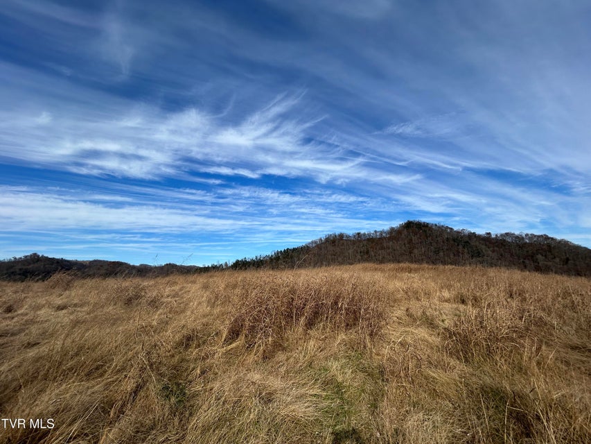 Photo #25: 2151 Horton Ford Road