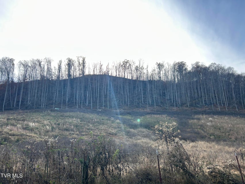 Photo #30: 2151 Horton Ford Road