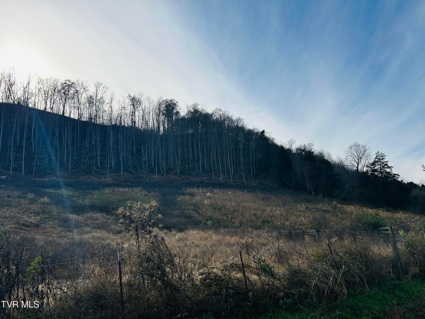 Photo #31: 2151 Horton Ford Road