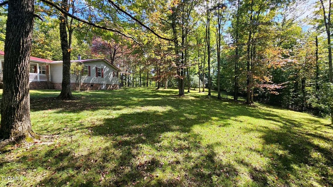 Photo #6: 9166 Gilliam School Road