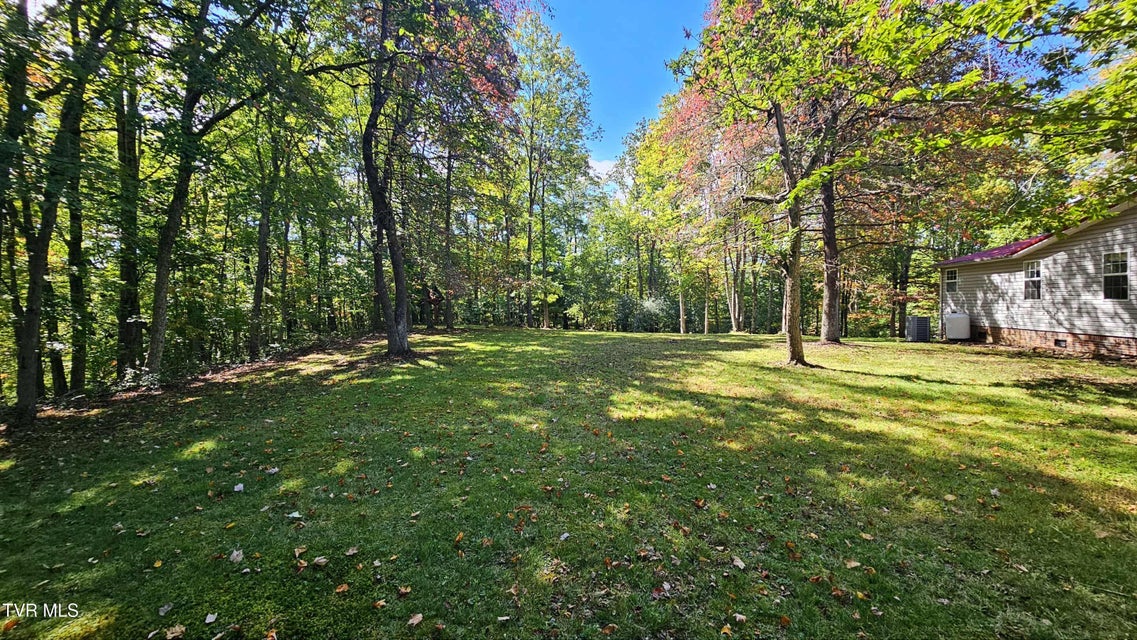 Photo #15: 9166 Gilliam School Road