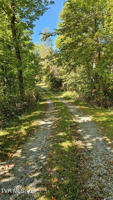 Photo #24: 9166 Gilliam School Road