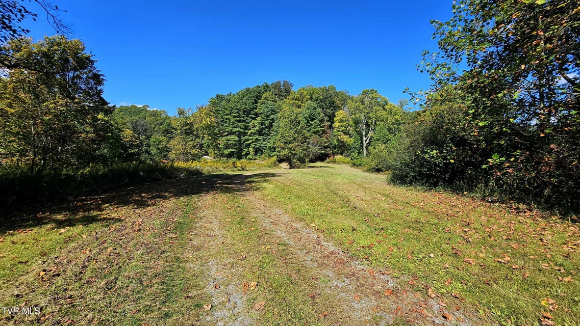 Photo #26: 9166 Gilliam School Road