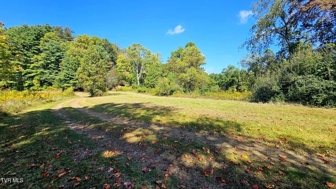 Photo #27: 9166 Gilliam School Road