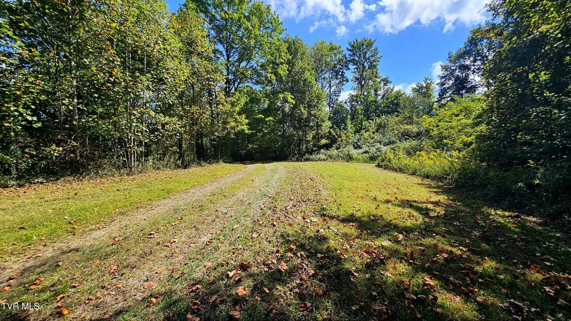 Photo #28: 9166 Gilliam School Road