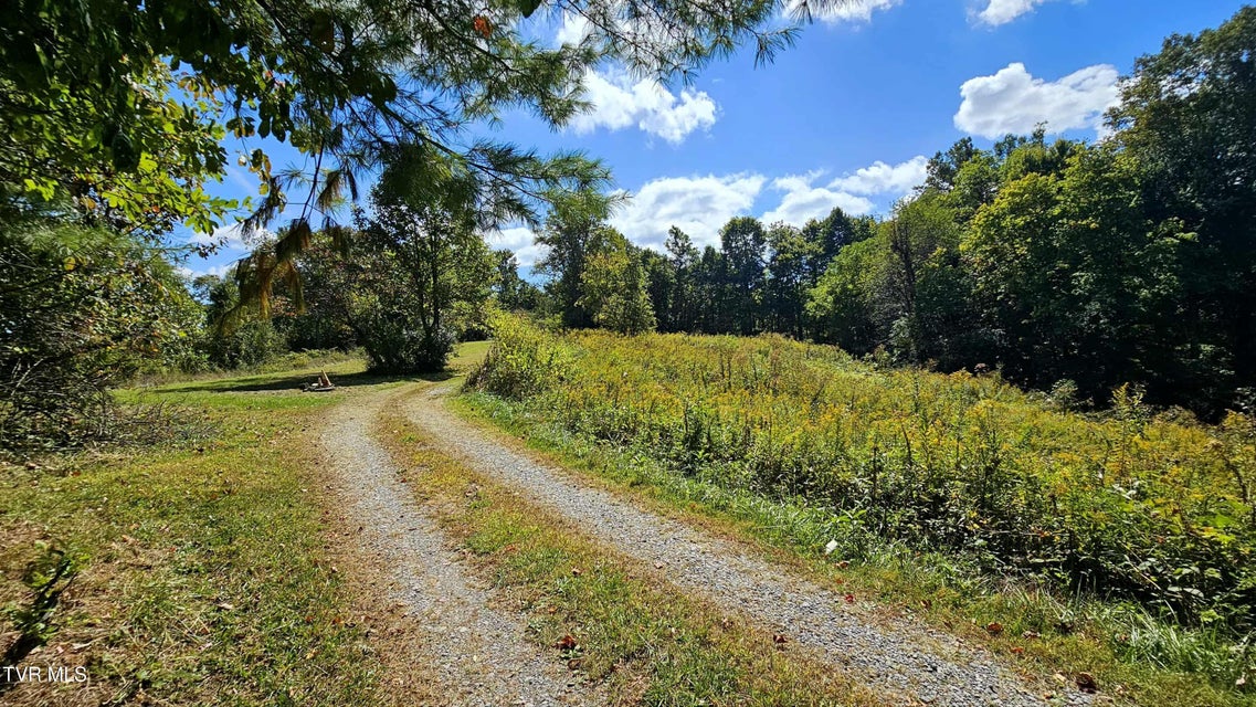 Photo #30: 9166 Gilliam School Road