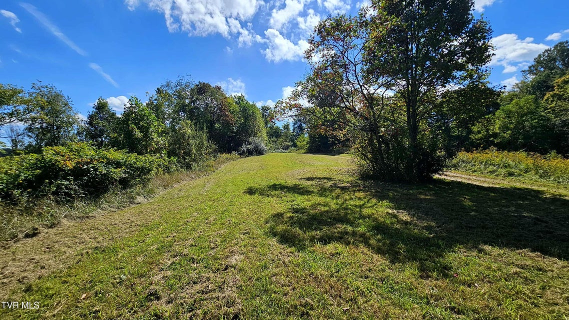 Photo #31: 9166 Gilliam School Road