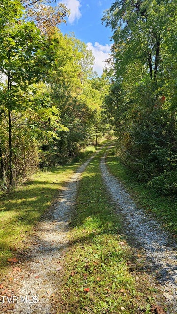 Photo #32: 9166 Gilliam School Road