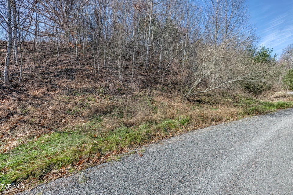 Photo #12: 141 Canter Road