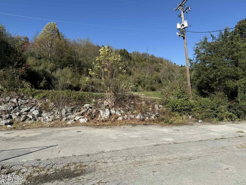 Photo #12: 605 Trent Street