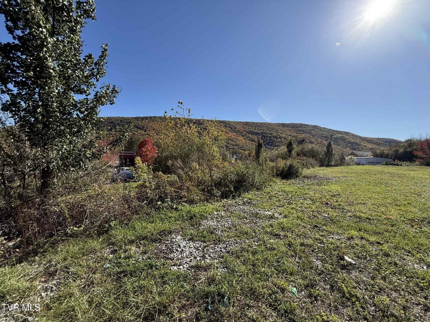 Photo #7: 605 Trent Street