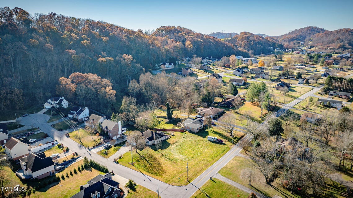 Photo #12: Tbd Leaf Point Point