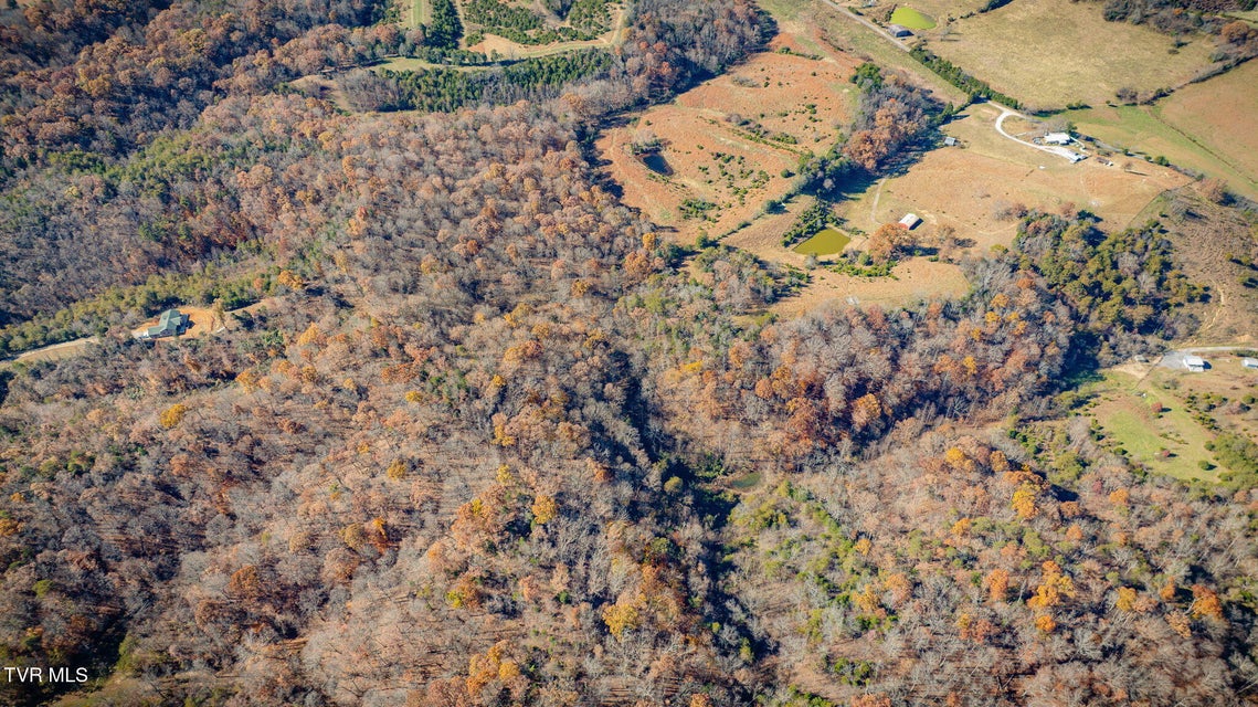 Photo #50: 567 Long Town Road