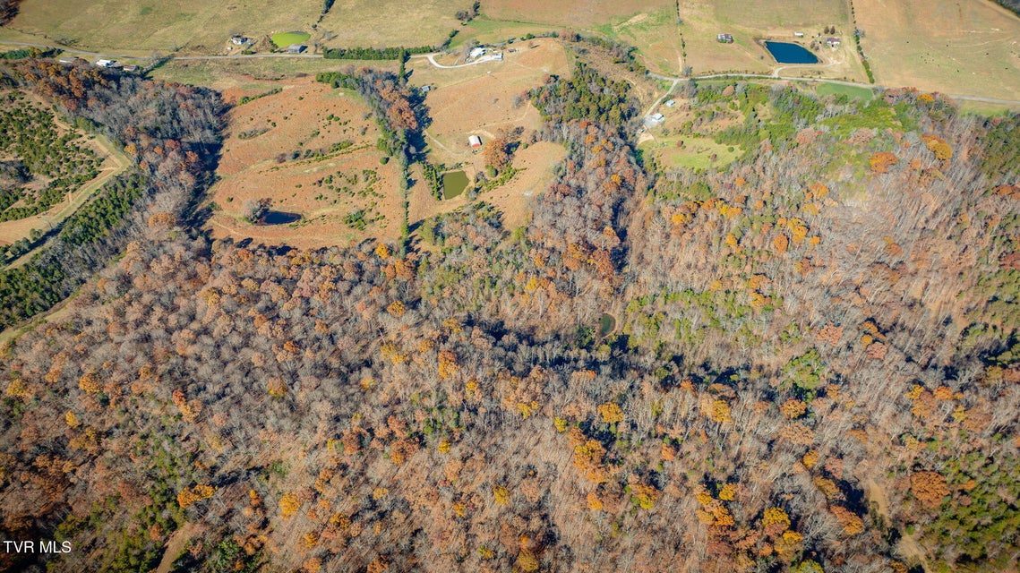 Photo #51: 567 Long Town Road