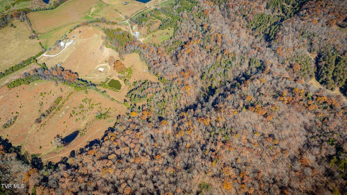 Photo #52: 567 Long Town Road