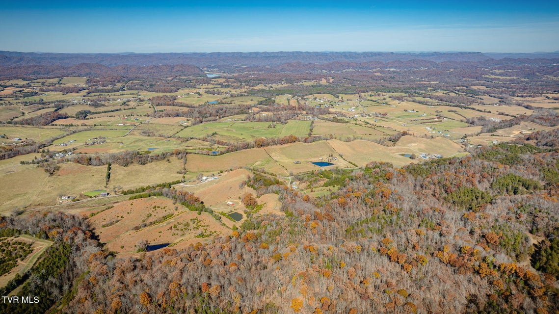 Photo #54: 567 Long Town Road