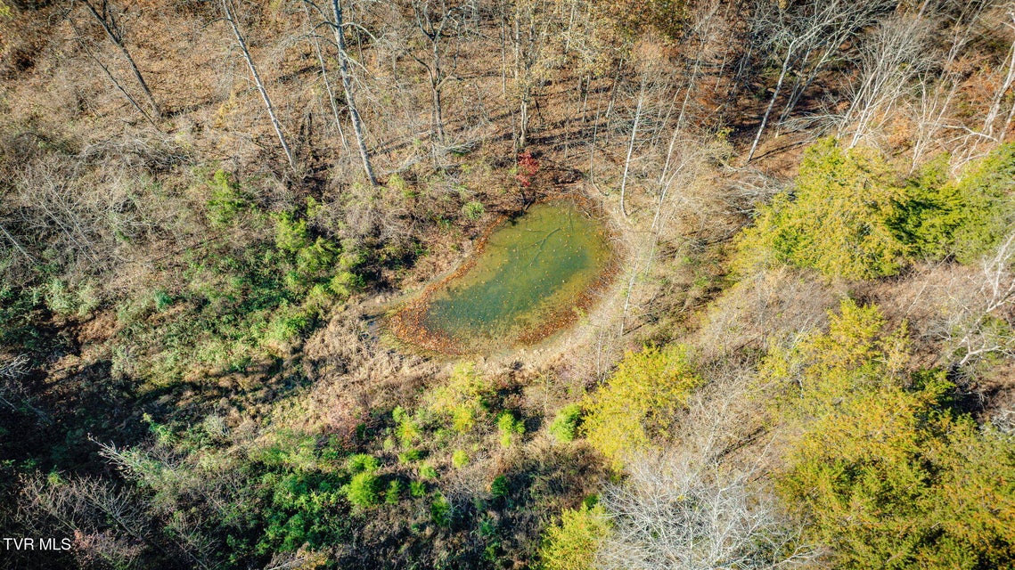 Photo #67: 567 Long Town Road