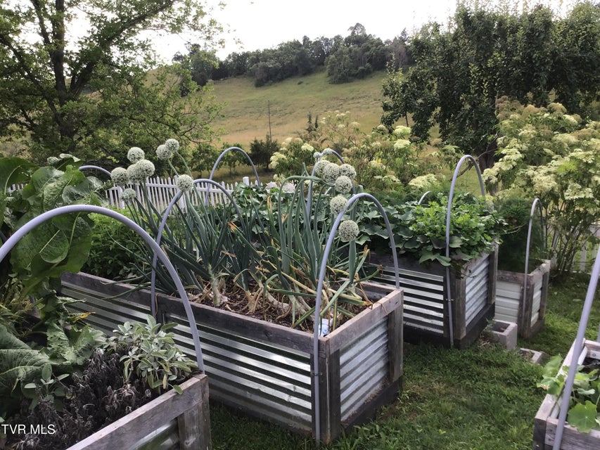 Photo #68: 567 Long Town Road