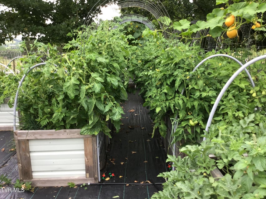 Photo #69: 567 Long Town Road