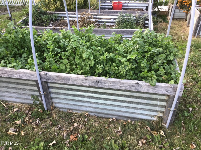 Photo #72: 567 Long Town Road