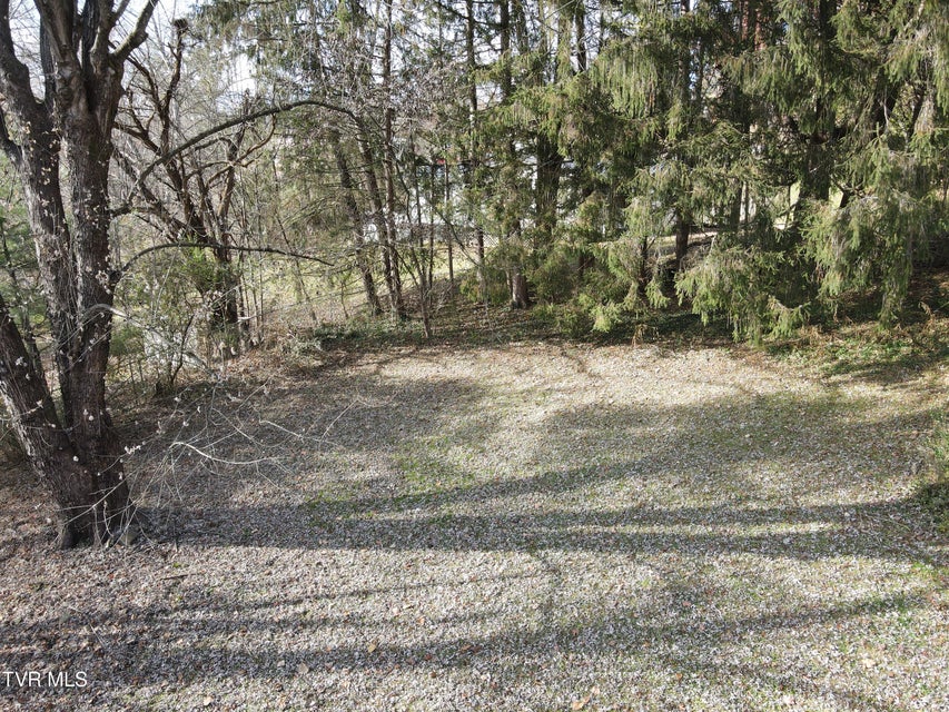 Photo #54: 209 Greenwood Avenue