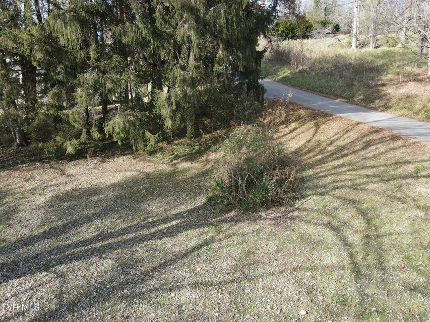 Photo #55: 209 Greenwood Avenue