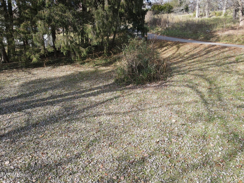 Photo #56: 209 Greenwood Avenue