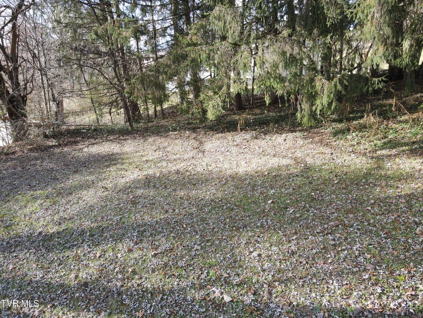 Photo #57: 209 Greenwood Avenue