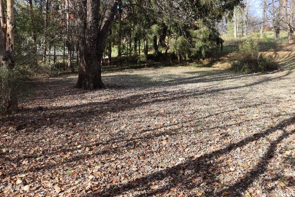 Photo #53: 209 Greenwood Avenue