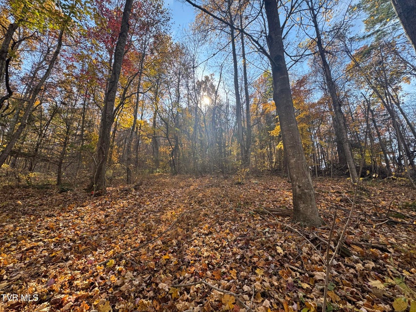 Photo #2: 119 Rhododendron Lane