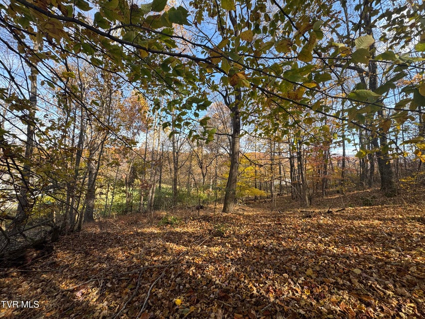 Photo #3: 119 Rhododendron Lane