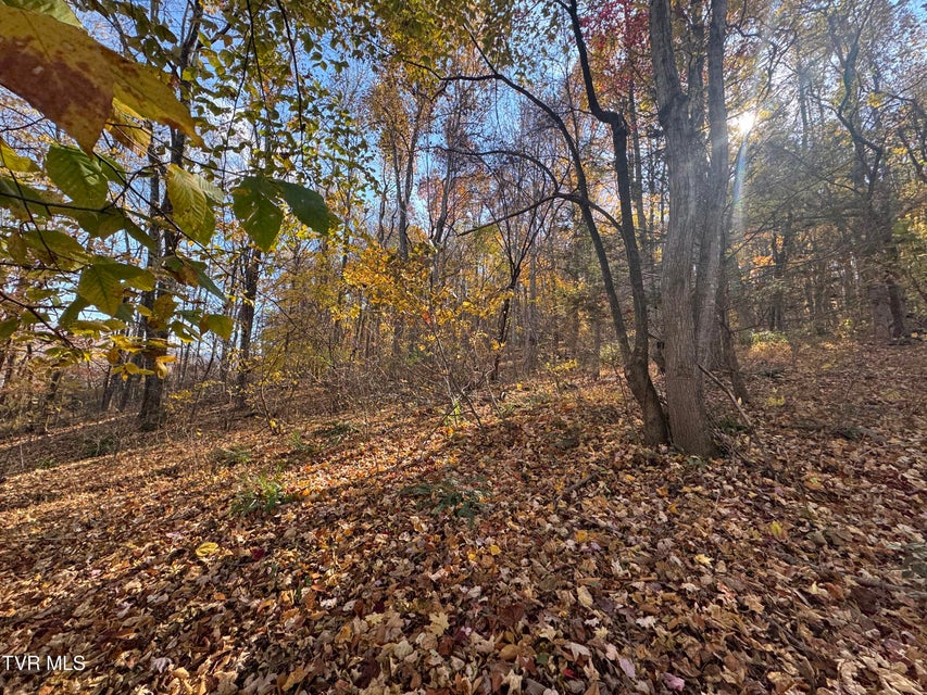 Photo #4: 119 Rhododendron Lane