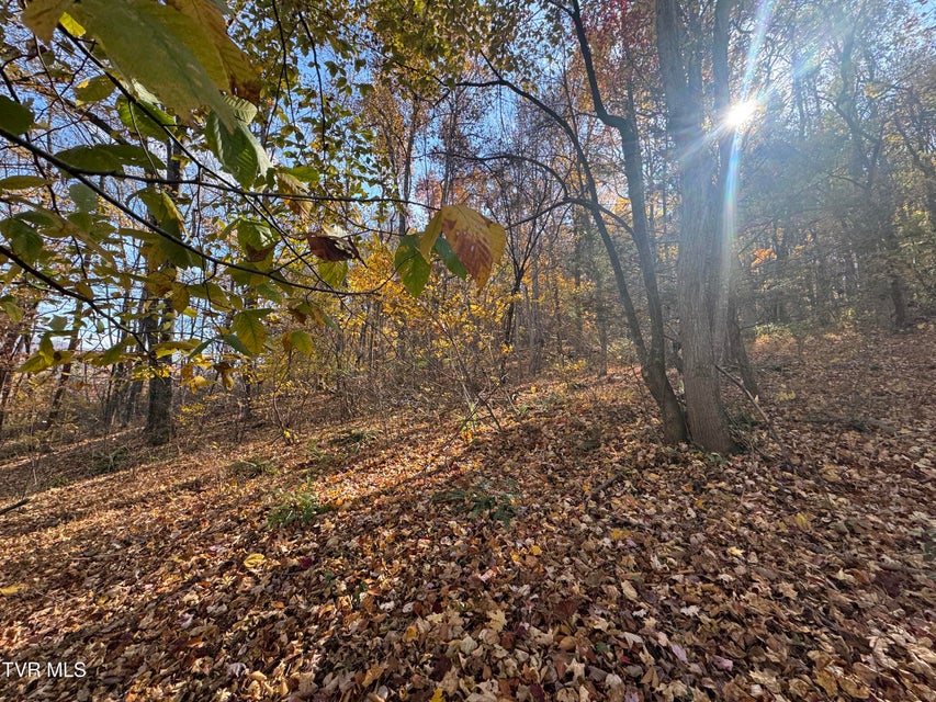 Photo #5: 119 Rhododendron Lane