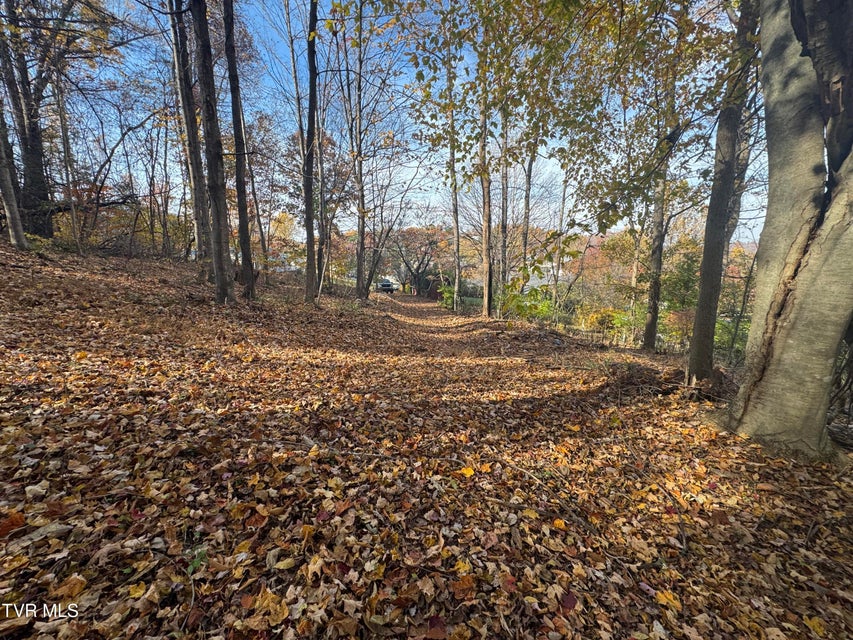 Photo #6: 119 Rhododendron Lane