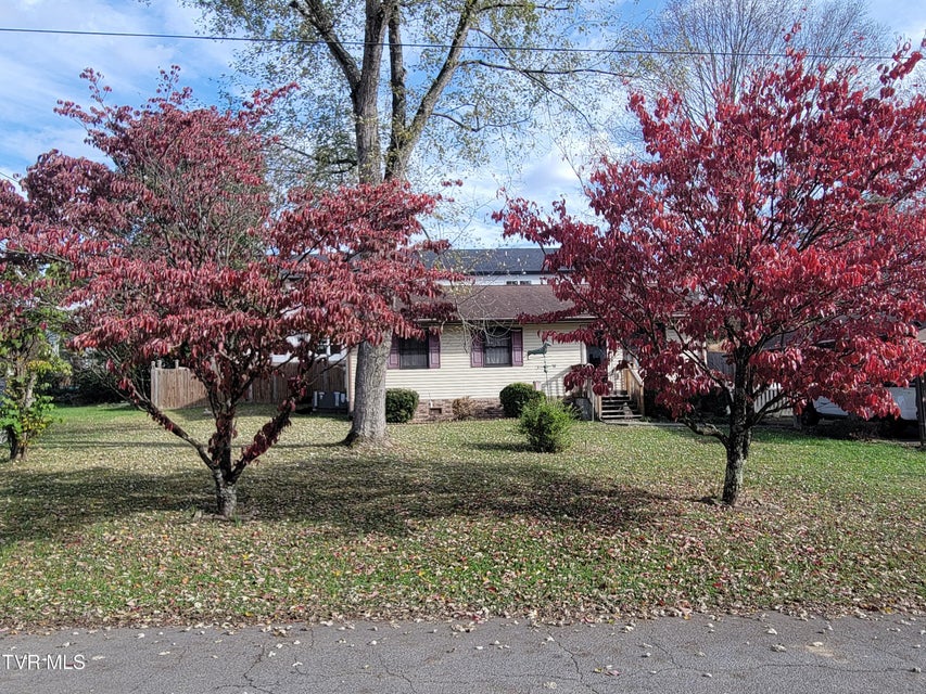 Photo #3: 1448 Piedmont Street