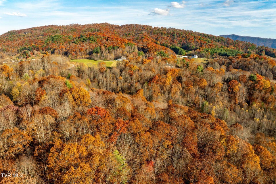 Photo #7: Lot 18 Silver Oak Trail