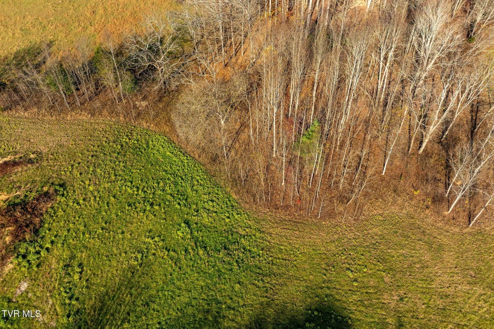 Photo #14: Lot 18 Silver Oak Trail