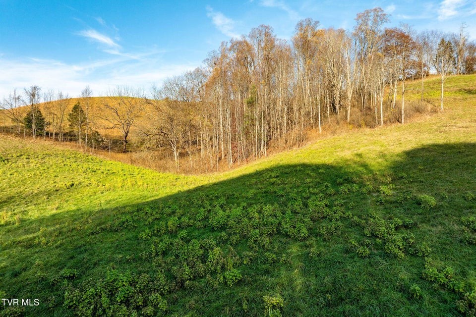 Photo #16: Lot 18 Silver Oak Trail