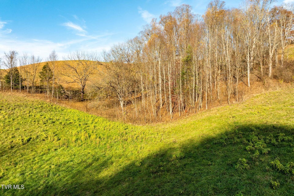 Photo #18: Lot 18 Silver Oak Trail