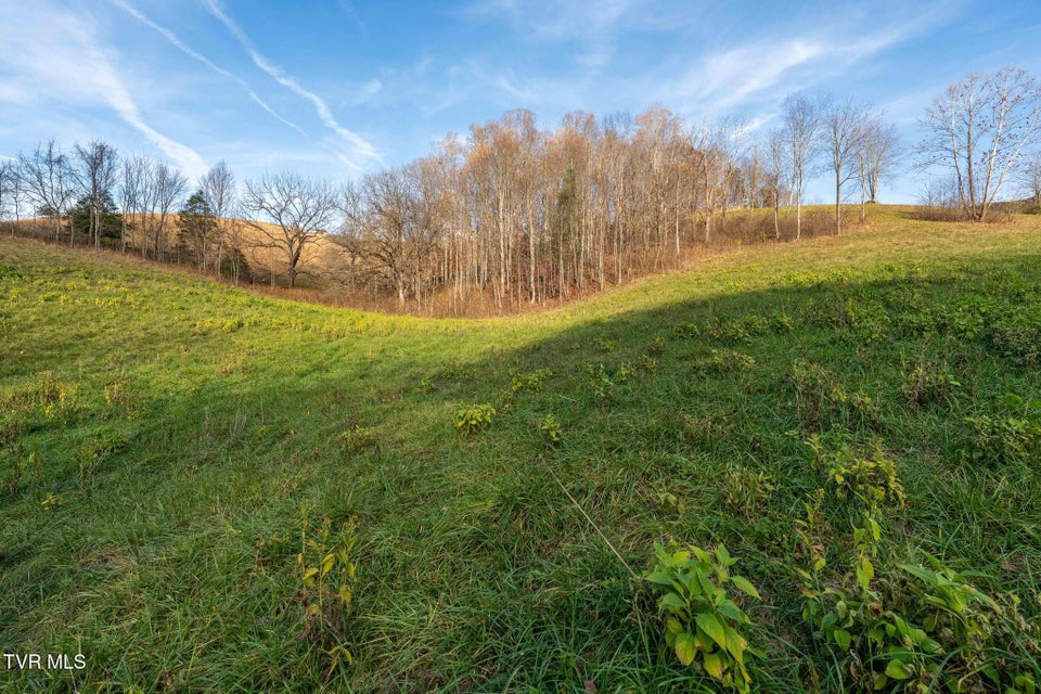 Photo #26: Lot 18 Silver Oak Trail