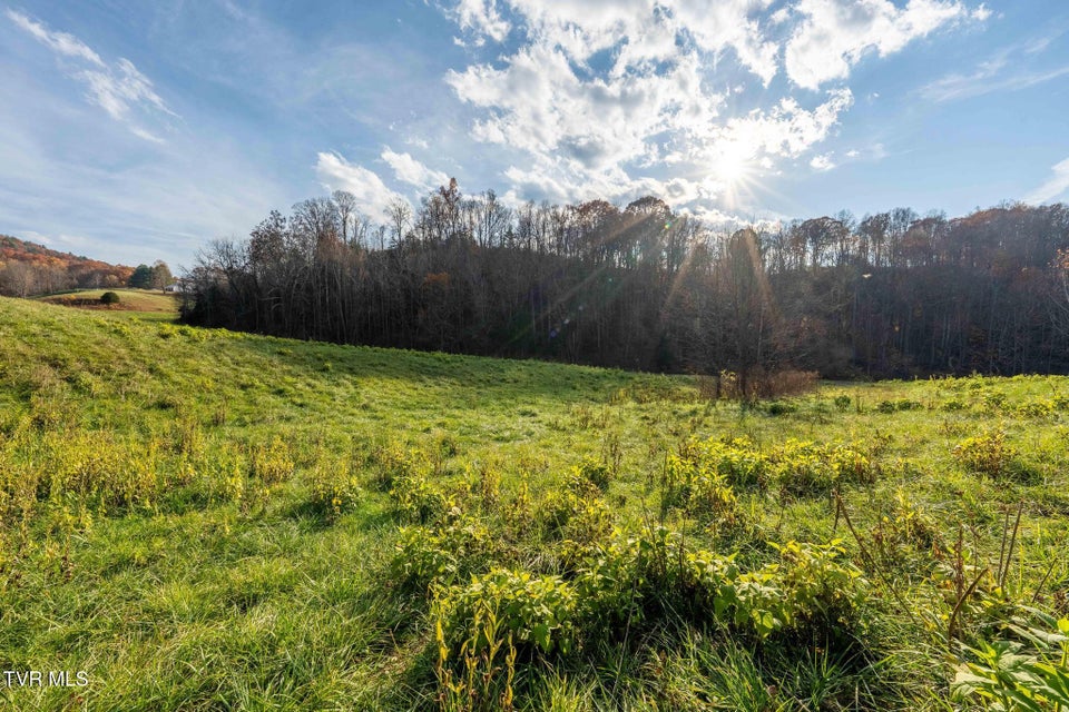 Photo #29: Lot 18 Silver Oak Trail