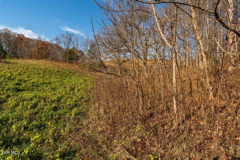 Photo #32: Lot 18 Silver Oak Trail