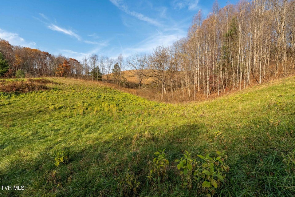 Photo #35: Lot 18 Silver Oak Trail