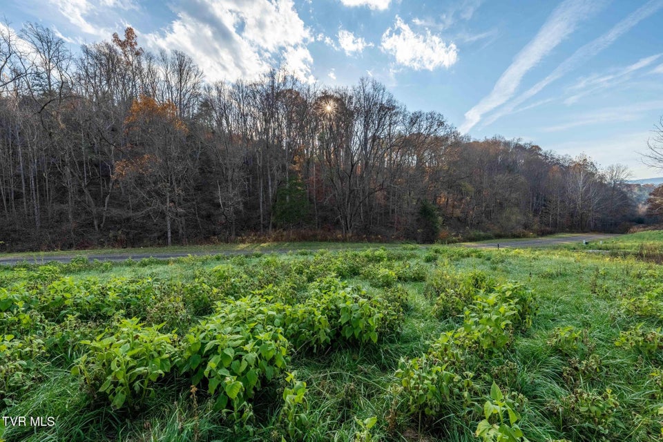 Photo #36: Lot 18 Silver Oak Trail