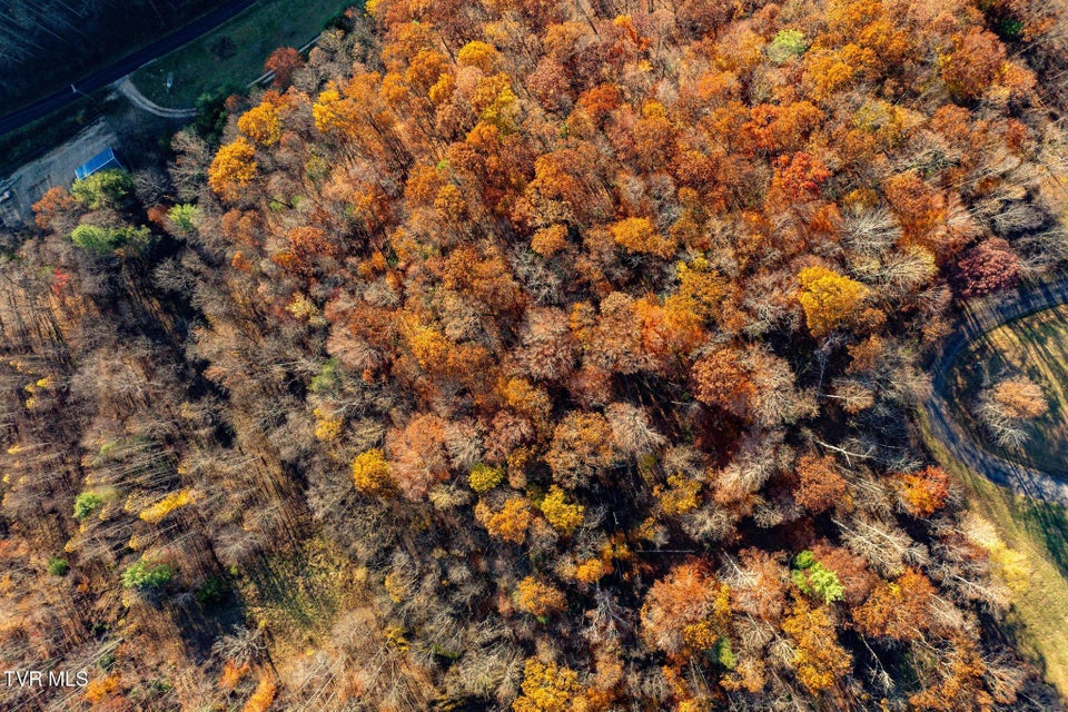 Photo #3: Lot 51 Redbud Circle