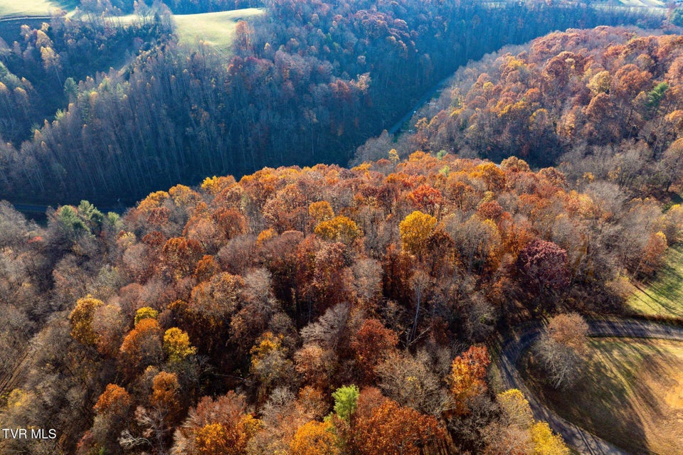 Photo #17: Lot 51 Redbud Circle