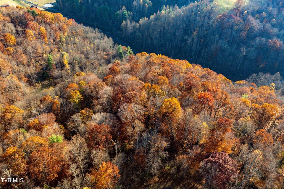 Photo #18: Lot 51 Redbud Circle